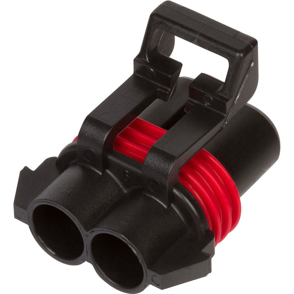 カイト　2012 12052613_Front_grande.jpg?v=